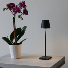 Load image into Gallery viewer, Poldina Pro Micro - Black
