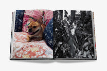 Load image into Gallery viewer, Maximalism by Sir Bergamin