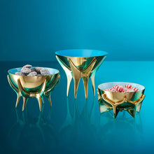 Load image into Gallery viewer, Oscar Small Bowl