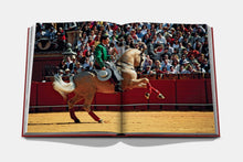 Load image into Gallery viewer, Sevilla Arte