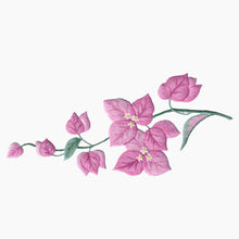 Load image into Gallery viewer, Bougainvillea Towel - White Cotton