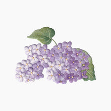 Load image into Gallery viewer, Lilac Towel - White Cotton