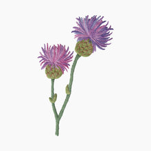 Load image into Gallery viewer, Thistle Towel- White Cotton