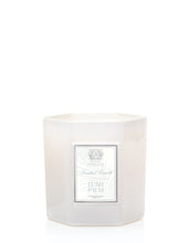 Load image into Gallery viewer, Lush Palm Candle