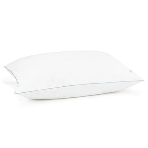 Great Sleep Hydrocool Pillow