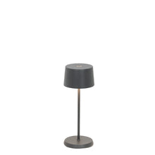 Load image into Gallery viewer, Olivia Pro Micro - Dark Gray
