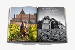 Wine & Travel France