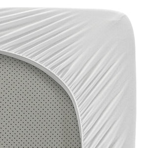 Protect-A-Bed Bamboo Hypoallergenic Waterproof Mattress Pad Protector