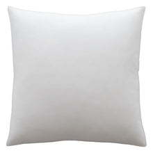 Load image into Gallery viewer, Pacific Coast Feather Filled Pillow Euro Square
